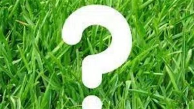 ما هي النبتة التي وضع سيدنا يونس أوراقها على جسده بعد أن خرج من فم الحوت