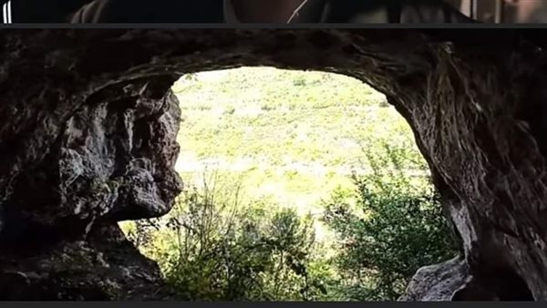 موقع أيام نيوز