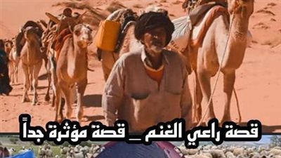 قصة راعي الغنم 