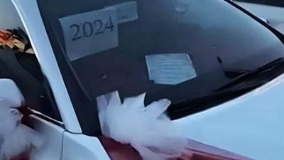 زوجة سعودية تفاجئ زوجها بسيارة هدية بمناسبة زواجه عليها