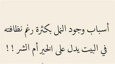 ماسبب وجود النمل في المنزل رغم نظافته