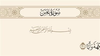 قال الله تعالى في سورة عبس {وَفَاكِهَةً وَأَبًّا} ما معنى كلمة وأبًّا ؟