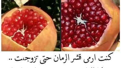 قشر الرمان