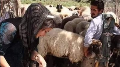 قصة و عبرة 11