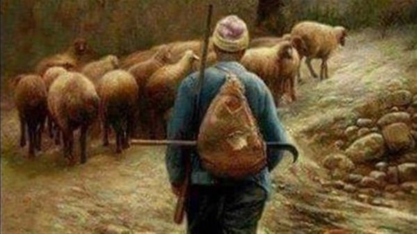 موقع أيام نيوز