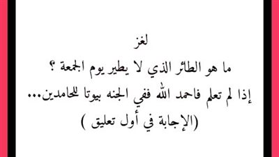 هذا الطائر الوحيد الذي لايطير يوم الجمعة 