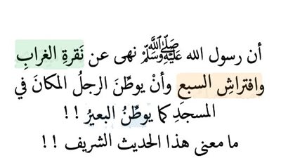 نهَى رسولُ اللهِ صلَّى اللهُ عليه وسلم عن نَقرةِ الغرابِ وافتراشِ السبعِ وأنْ يوطِّنَ الرجلُ المكانَ في المسجدِ كما يوطِّنُ البعيرُ